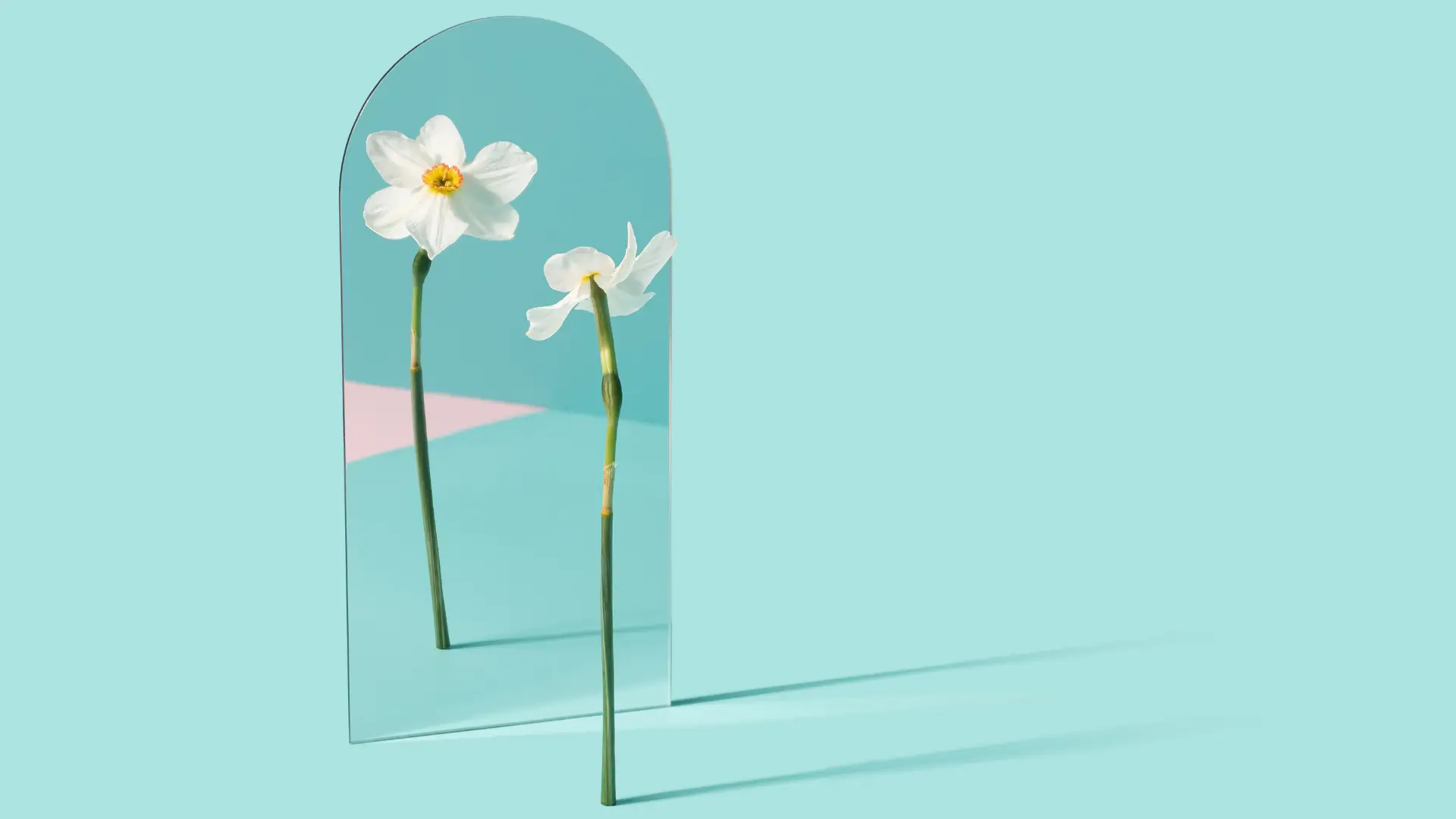 Illustration conceptuelle montrant un logo entouré des multiples éléments qui composent une marque forte